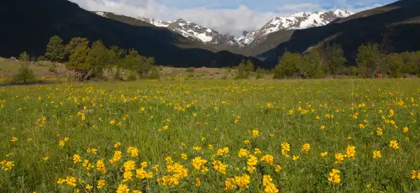 Hotel di Larimer County