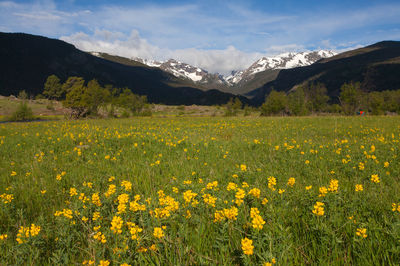 Rocky Mountain National Park