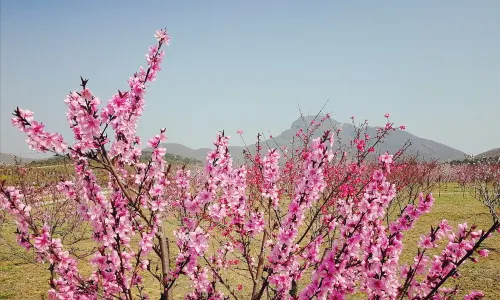 จุดชมวิวเหลาเหลาเหริน