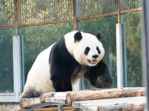 Beijing Zoo