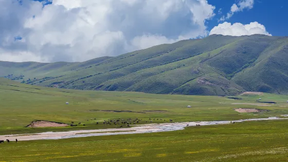 紮魯特旗山地草原旅遊區(軍馬場)