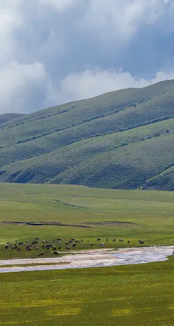 Hotels in Jarud Banner