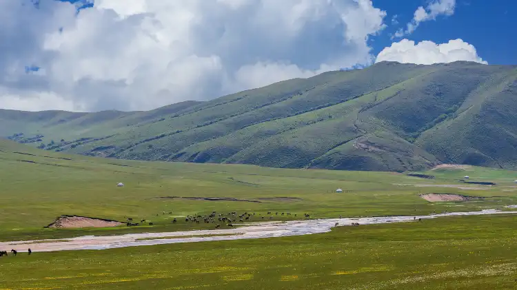 Hotels in Jarud Banner