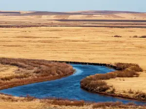 186 Ribbon River