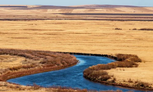 186 Ribbon River