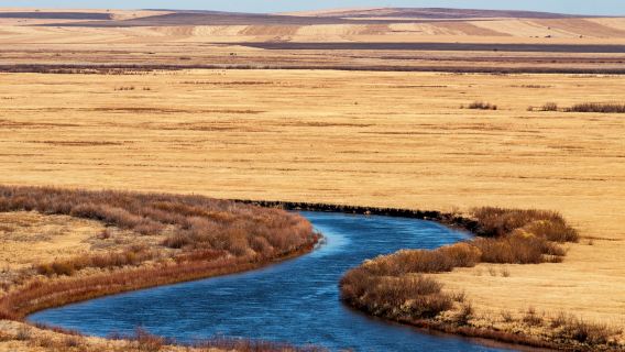 186 Ribbon River
