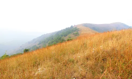 Qinglong Mountain