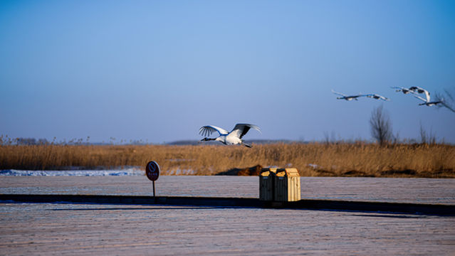 guan he tai zha long shi di