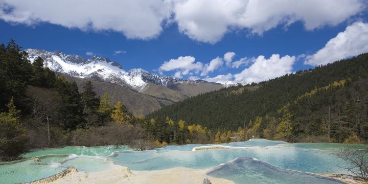 Zhengyan (Flamboyant) Pond