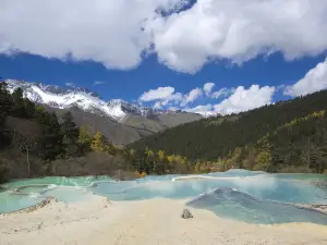 Zhengyan (Flamboyant) Pond