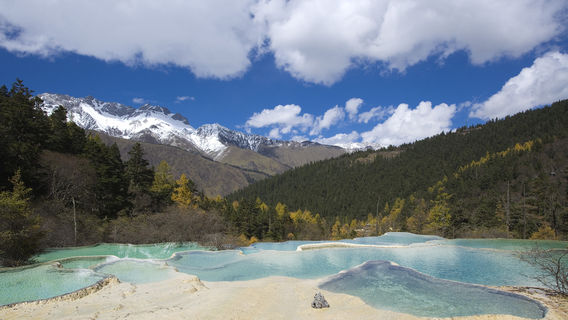 Zhengyan (Flamboyant) Pond