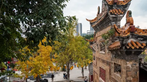 德陽文廟 attraction in 德陽