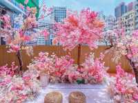 賞櫻の旅Afternoon tea