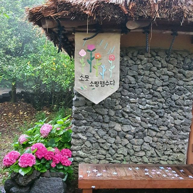 수국이 가득한 카멜리아 힐