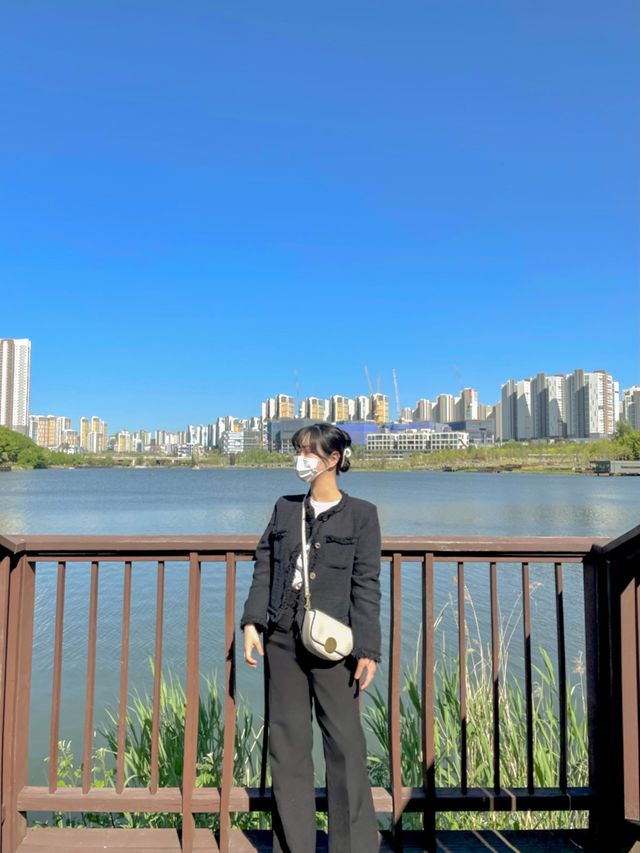 동탄호수공원에서 가벼운 공원 산책
