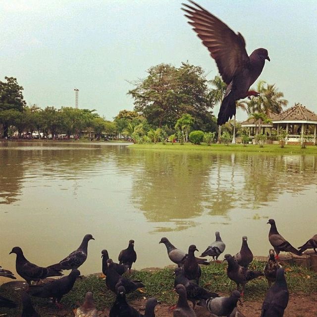 Cool place to get away from Bangkok rush