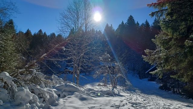 Destination Veveyse SA