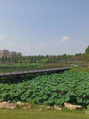 Nanxi Wetland Park