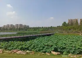 Парк водно-болотных угодий Наньцзинь