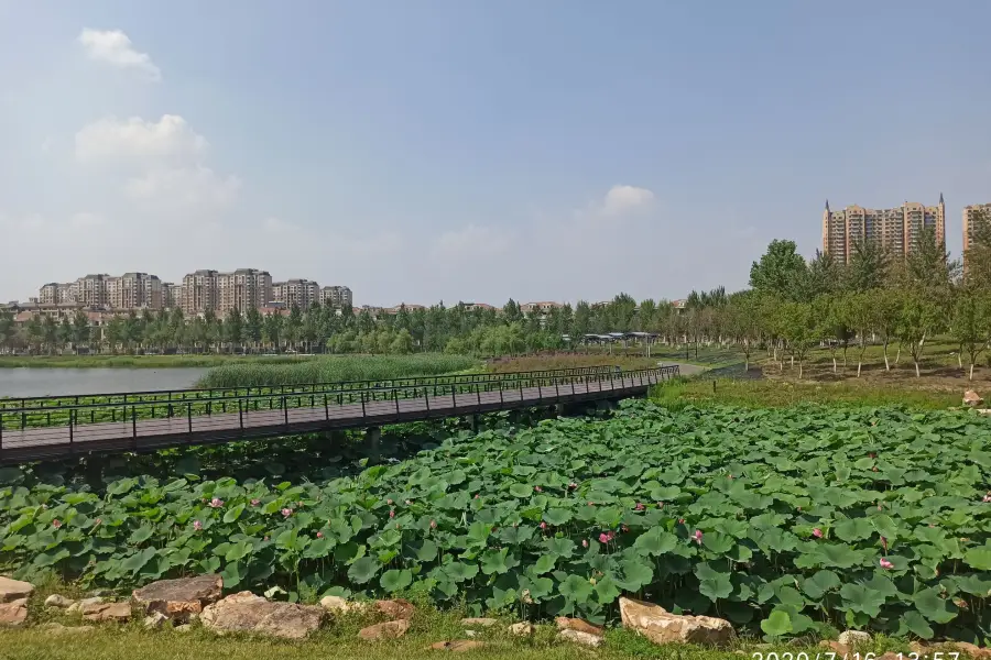 Парк водно-болотных угодий Наньцзинь