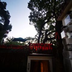 FAN JING RESTAURANT 여행 사진