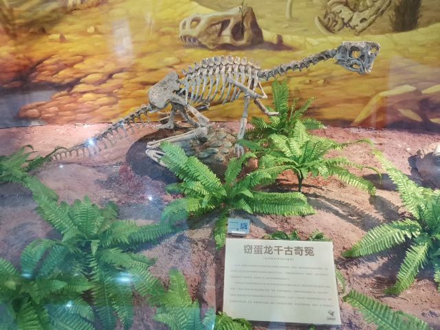 Heyuan City Museum (Heyuan Dinosaur Museum)