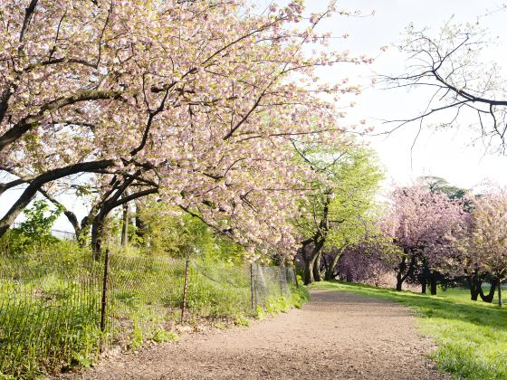 高地公園