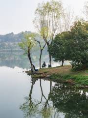 Парк экологических водно-болотных угодий в заливе Бэйцзян