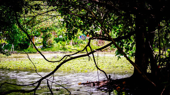 Alice Lake Provincial Park