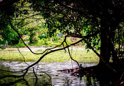 愛麗絲湖省立公園