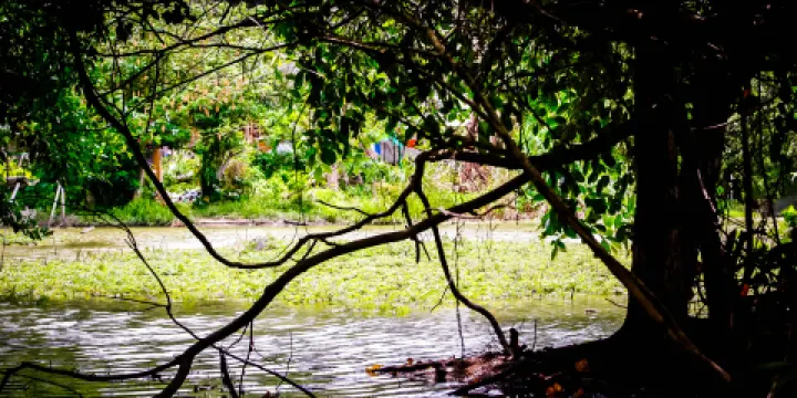 愛麗絲湖省立公園