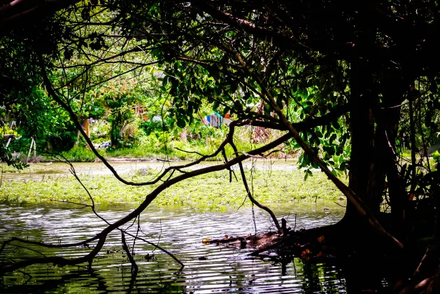 Апартаменты в г. Галифакс