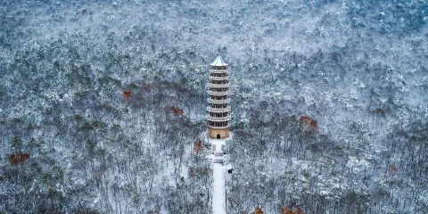 鐘山風景名勝區(明孝陵 + 美齡宮 + 靈谷景區 + 音樂台) 門票成人