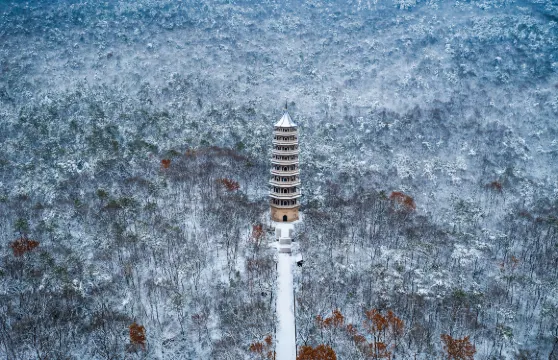 鐘山風景名勝區(明孝陵 + 美齡宮 + 靈谷景區 + 音樂台) 門票成人