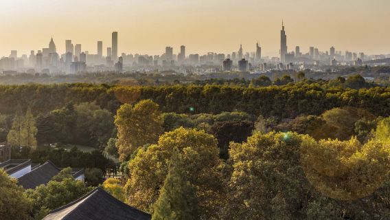 莫斯科+謝爾吉耶夫+聖三一教堂|普通話司機古典建築+自然漫步