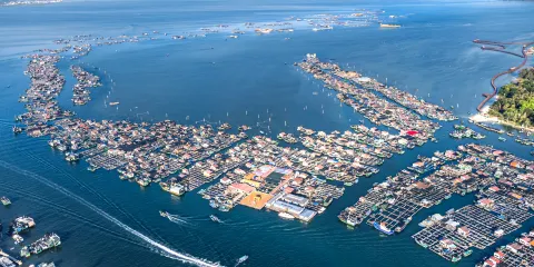 新村港