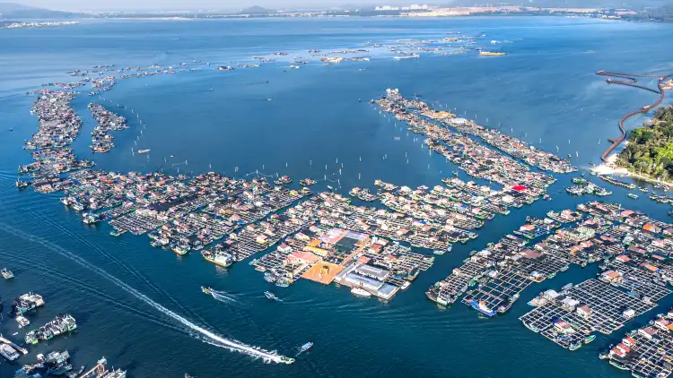 Hotels near Xincun Harbor