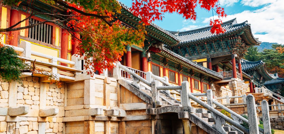 Gyeongju Travel Guide 2024 - Things to Do, What To Eat & Tips