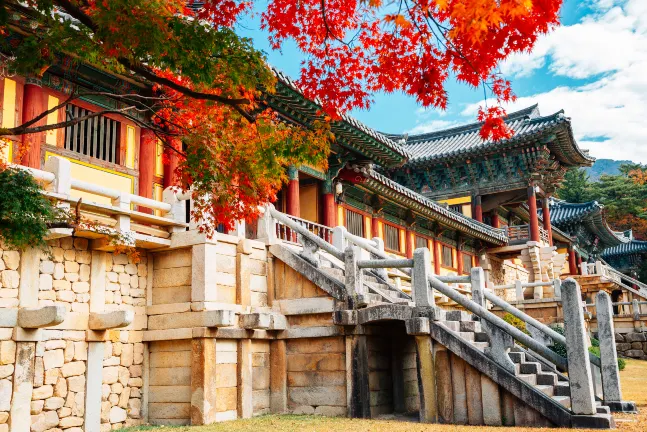 1박 2일 포항 여행 일정