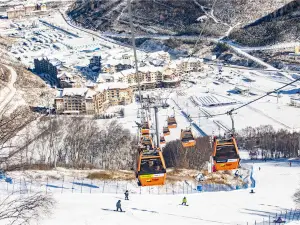 타이댄스 스키 타운