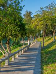 Luogang Wetland Park