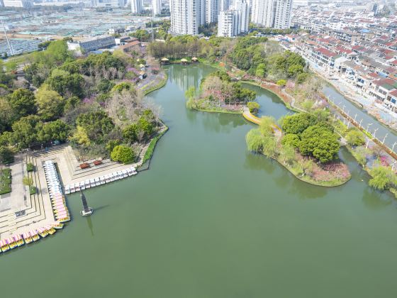 圩墩遺址公園