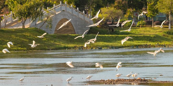 Jianying Park (Northwest Gate)
