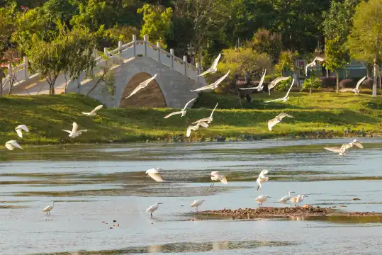 鄰近劍英公園的酒店