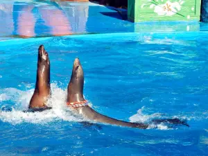 老虎灘極地海洋動物館