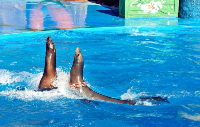 2_老虎灘極地海洋動物館