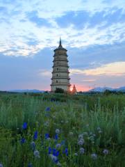 Liaoqingzhou City Bai Pagoda