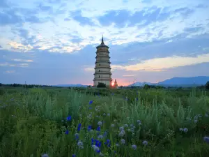 Liaoqingzhou City Bai Pagoda