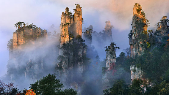 ZhangjiajieTours de un día