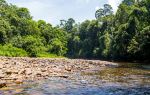 Ulu Temburong National Park